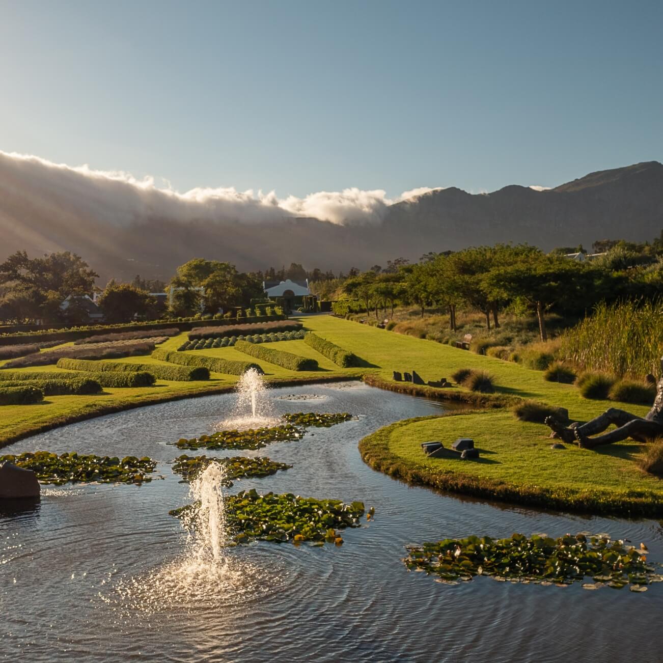 LEEUSCAPES Image 2